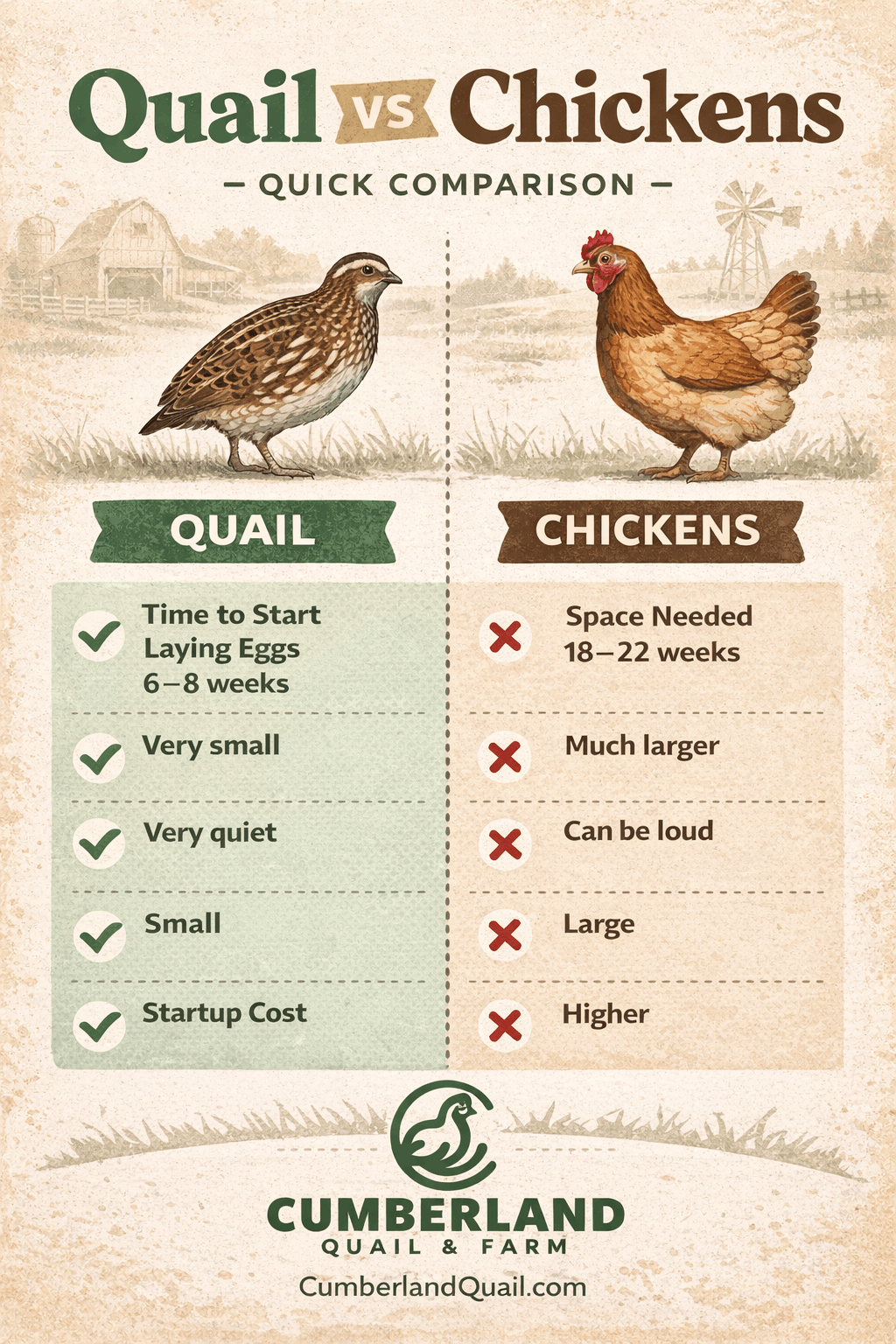 quail-v-chicken